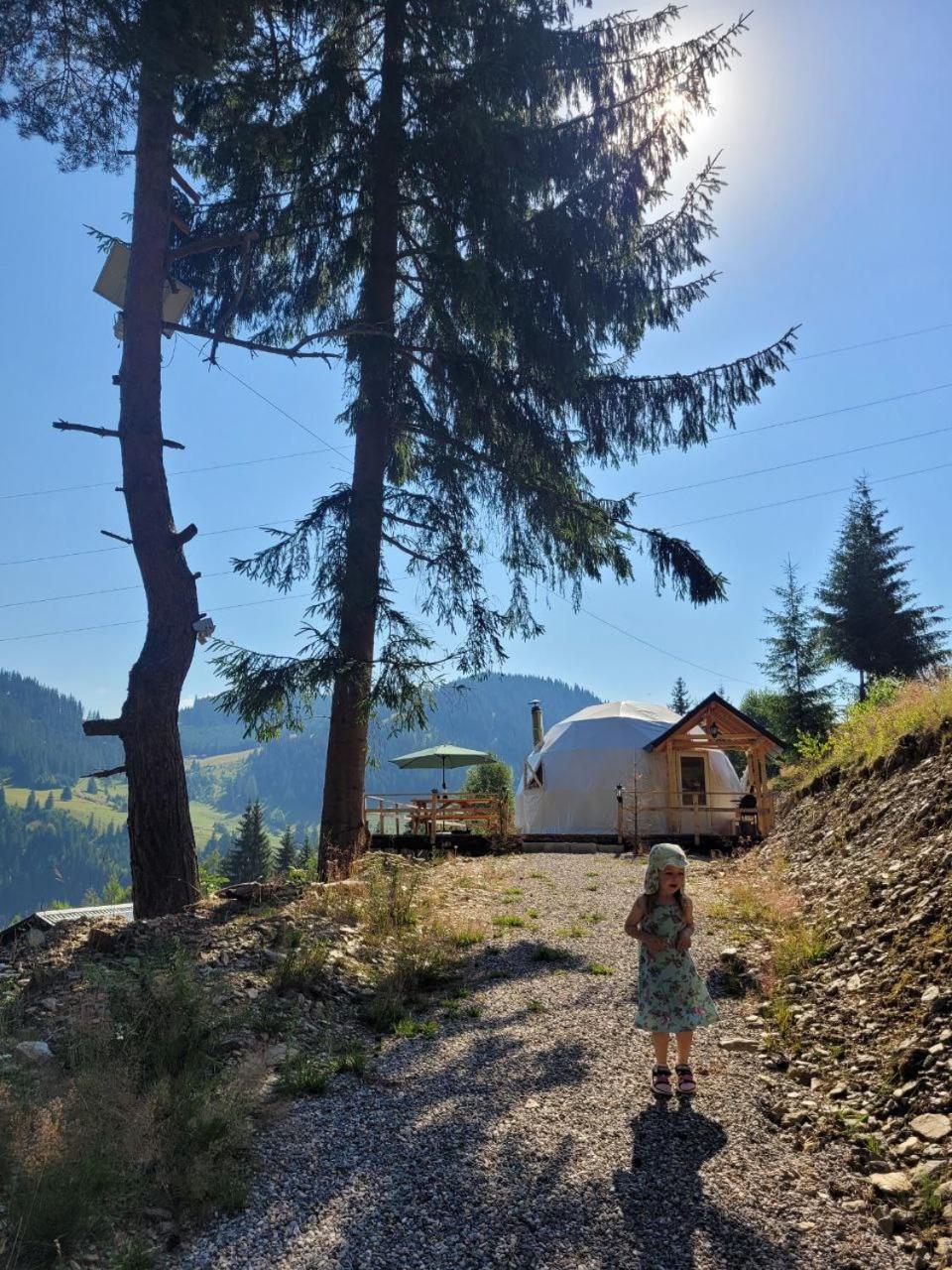 Cucu Zen Dome Bucovina
